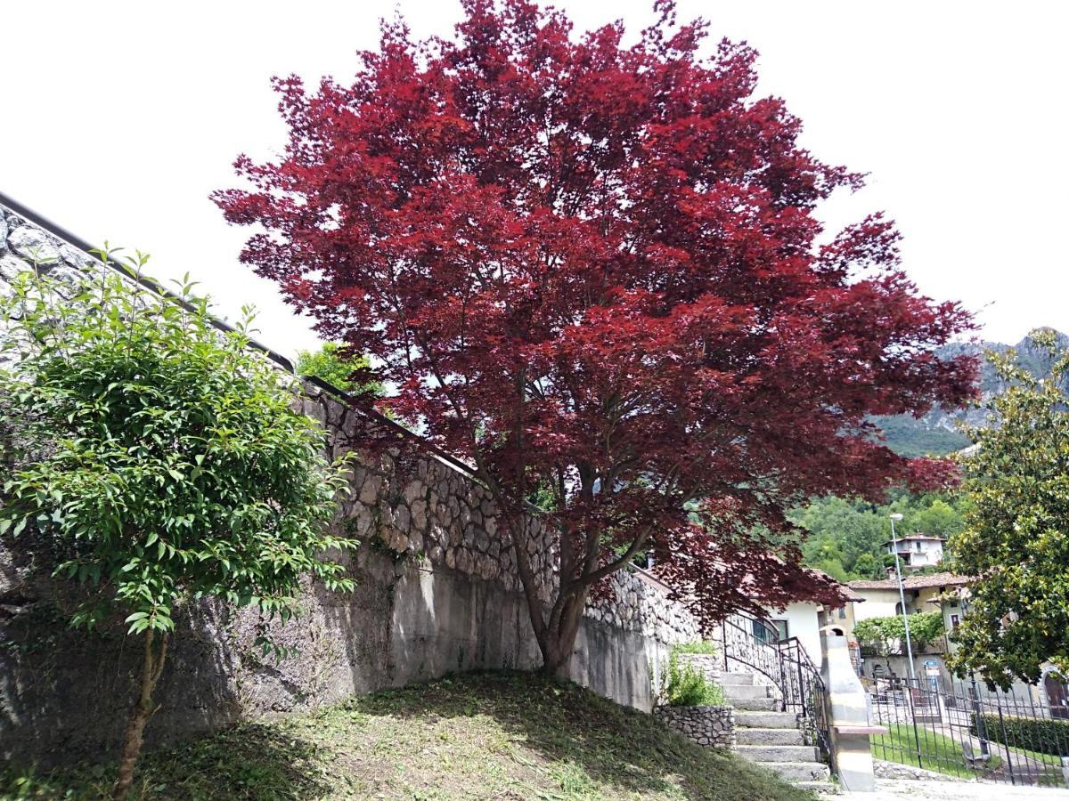 B&B L'Acero Casto Luaran gambar